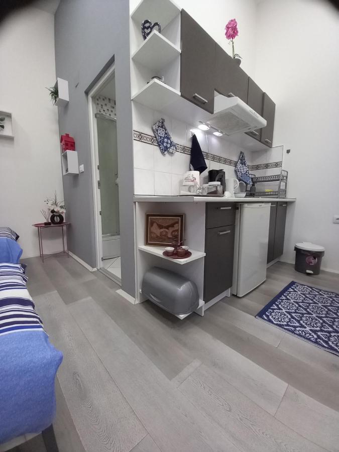 Apartman Stari Most - Old Bridge Bečej Buitenkant foto